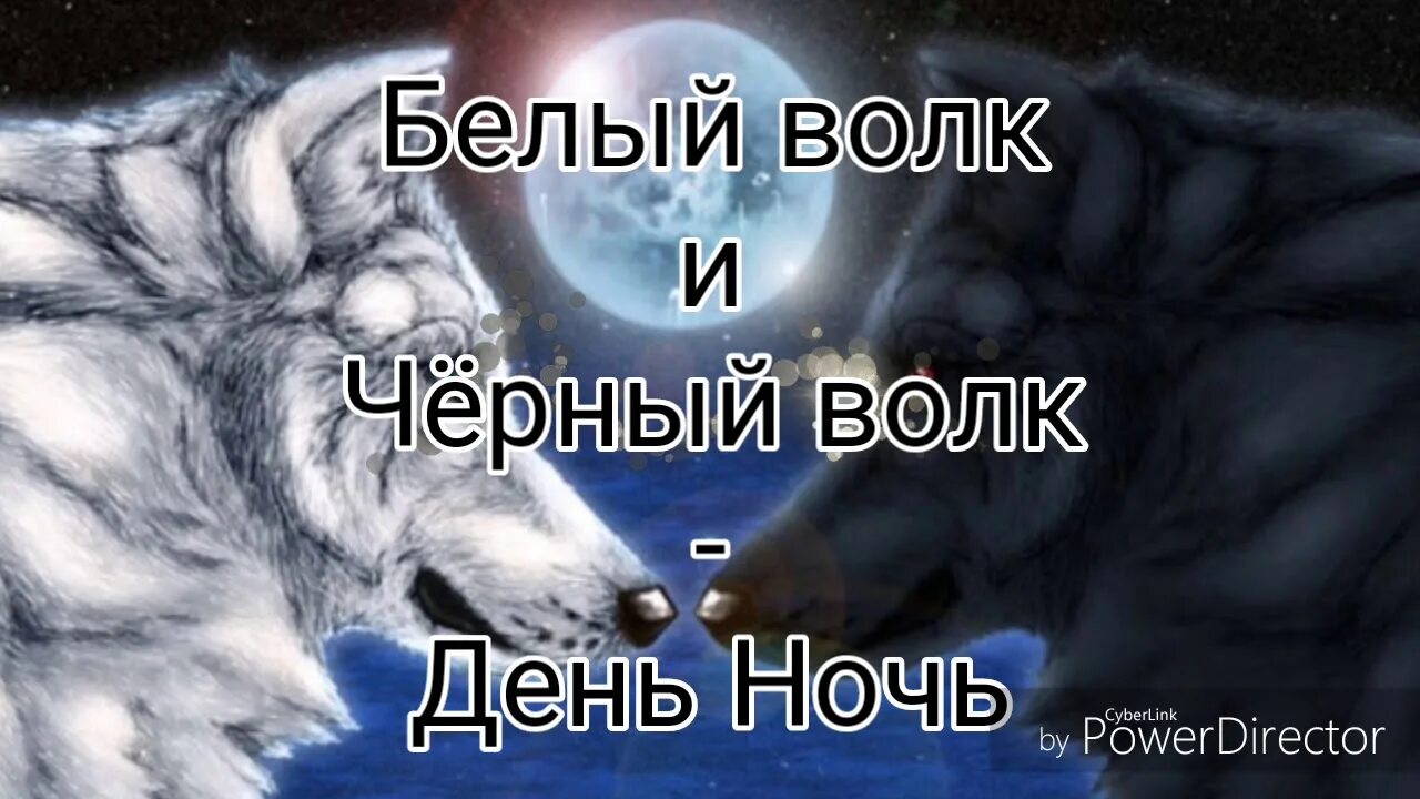 Театр белого волка. Театр белого волка tww24. Черный белый волк песня. Волк минимализм. Волк арт.