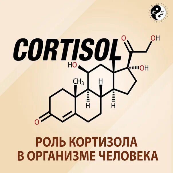 Повышенный уровень кортизола. Кортизол. Кортизол гормон. Кортизол картинки. Роль кортизола.