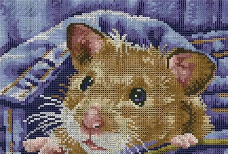 Вышивка хомячок чудесная игла. Хомячок вышивка крестом. Хомячок вышивка крестом алиса. Вышивка крестом хомяк. Вышивка хомячок чудесная игла.