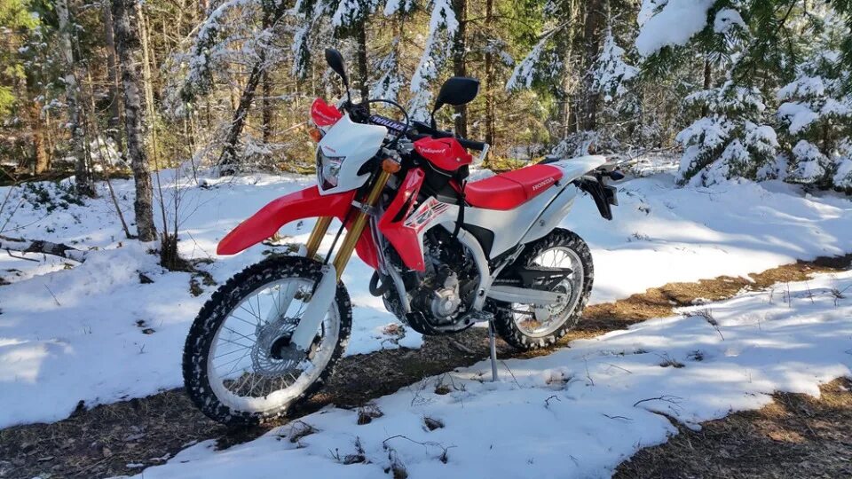 Honda crf250l. Honda CRF эндуро. Хонда эндуро 250. .WA 250 эндуро. Хонда эндуро купить