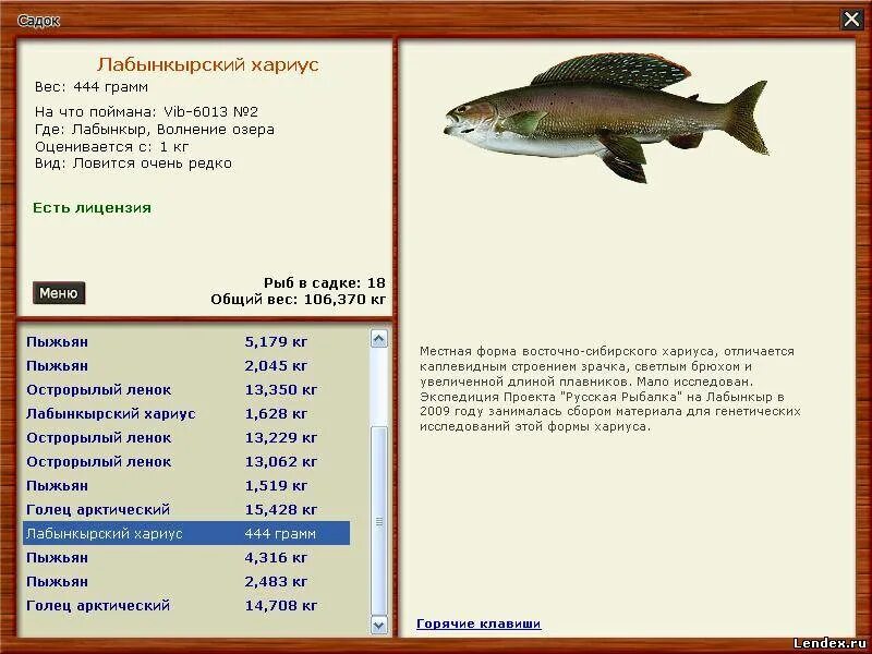 Русская рыбалка 2 Лабынкырский черт. Лабынкыр Лабынкырский хариус. Рр3 Лабынкыр хариус. Русская рыбалка 3 Лабынкыр. Игра рыбалка лабынкыр