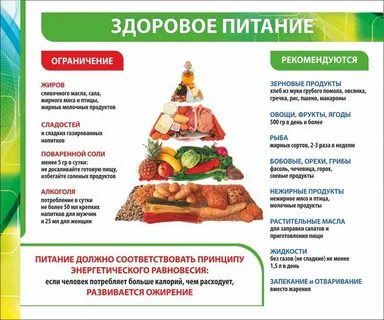 Рекомендации по рациональному питанию ребенка