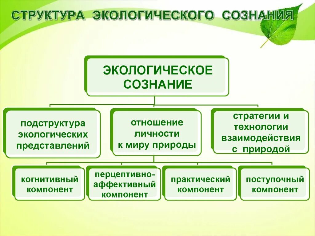 Экологические вопросы и развитие. Структура экологического сознания. Экологическое сознание формирует. Экологическое сознание это в экологии. Принципы формирования экологического сознания.