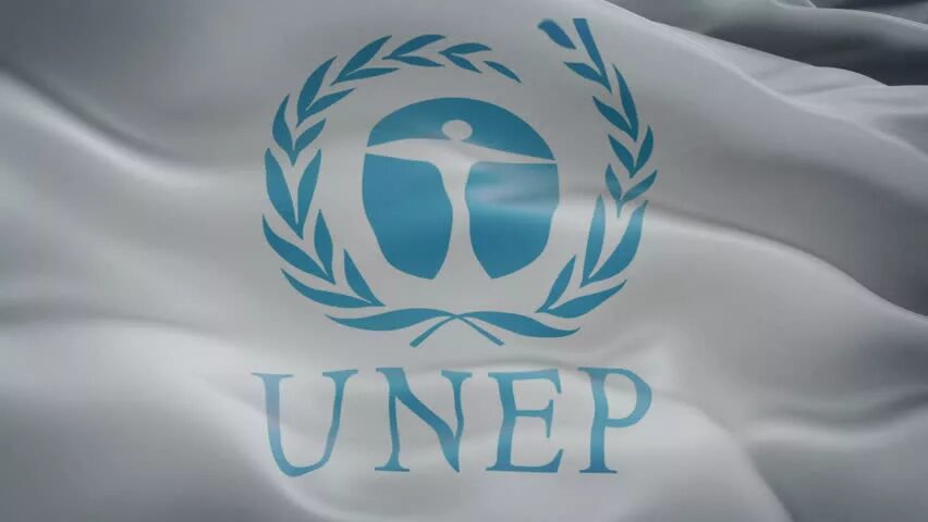Юнеп оон. ООН ЮНЕП. United Nations environment programme (UNEP). Организация ООН по охране окружающей среды (ЮНЕП). Программа ООН по окружающей среде (ЮНЕП).