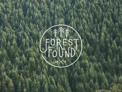 Forest тексты