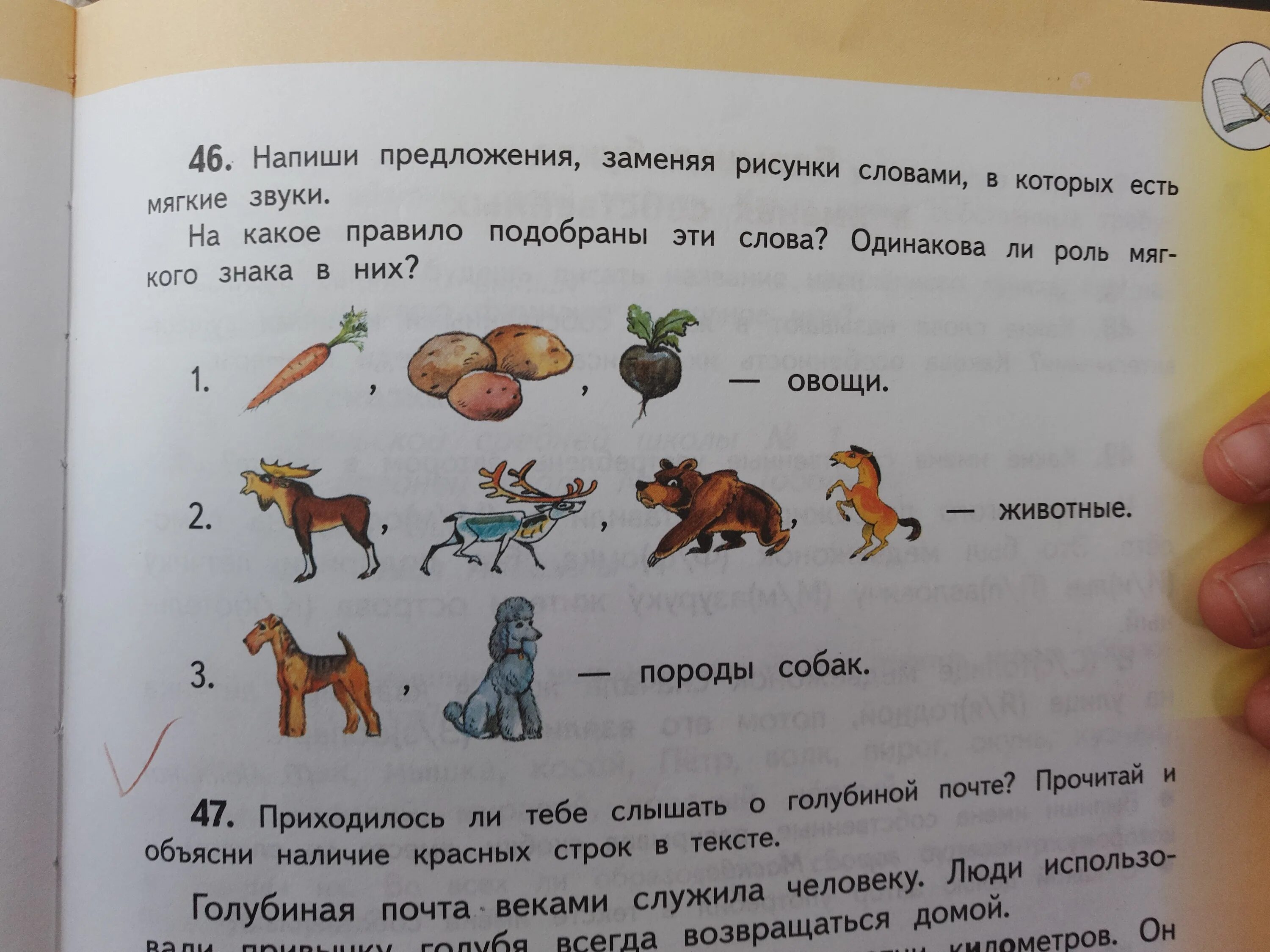 Звук вместо слова. Составь предложение. Предложение со словом иллюстрация. Напиши предложения. Придумать предложение со словом рисунок.