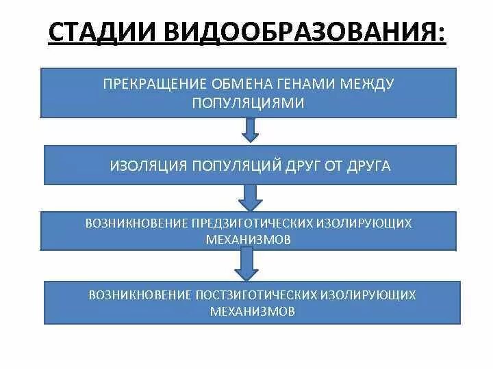 Изолирующие механизмы видообразование. Стадии видо оьразования. Сдади видообразования. Стадии видообразования. Установите последовательность образования новых видов в природе