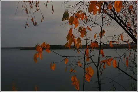 Осенний печально