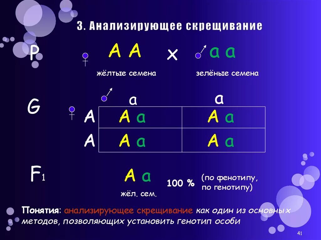 Анализирующее скрещивание. Анамуируещее скрещивание. Анализирующее скрещивание пример. НАЛИЗИРУЮЩЕЕ скрещивани. Скрещивание особей с неизвестным генотипом