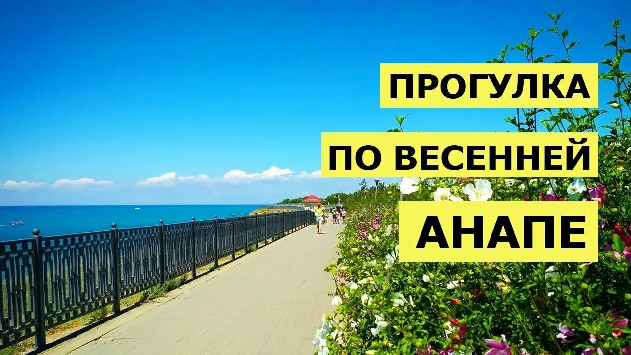 гостевой дом неста в небуге. новый афон абхазия частный сектор. яркий берег учкуевка. снять жилье у моря недорого 2024. пляхо оазис гостевой.