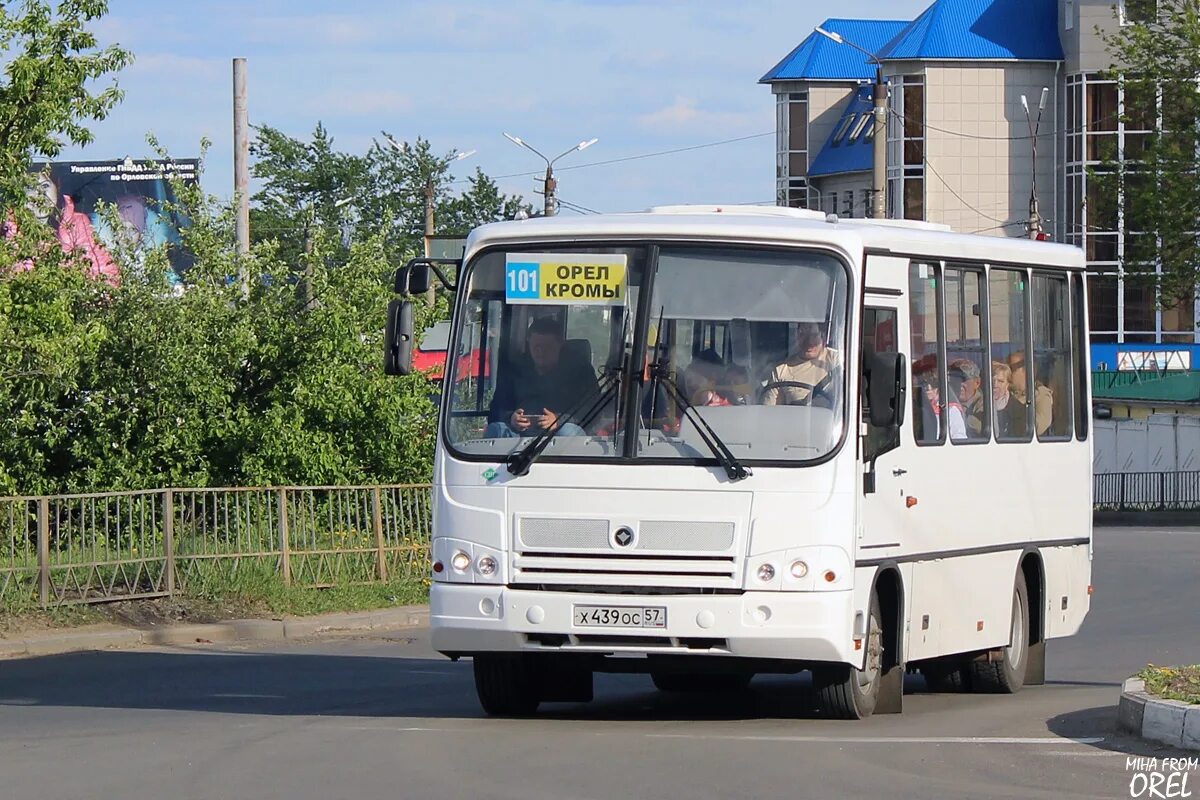 ПАЗ 320302-11. ПАЗ-320302-08 Орел. Орёл автобусы ПАЗ 3203. Автобусы Оса.