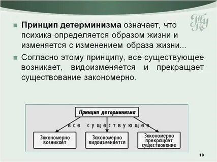 Принципы детерминизма системности развития