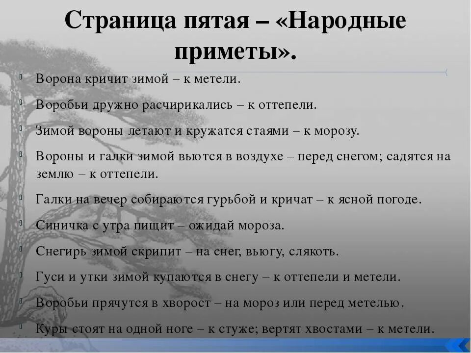 Народные приметы про птиц. Приметы. Народные приметы про ворон. Приметы про ворон.