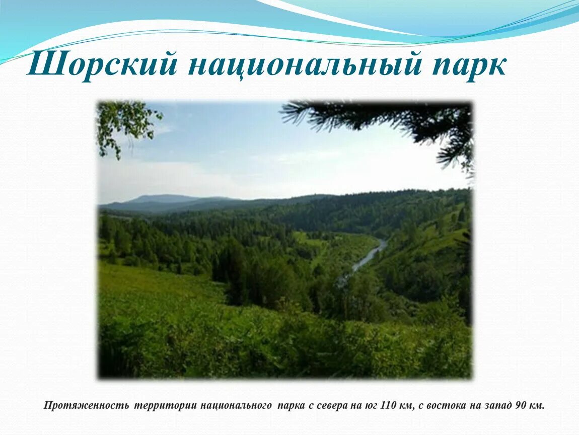 Шорский национальный парк где находится. Шорский национальный парк где находится. Шорский национальный парк где находится. Границы шорского национального парка карта. Шорский национальный парк где находится.