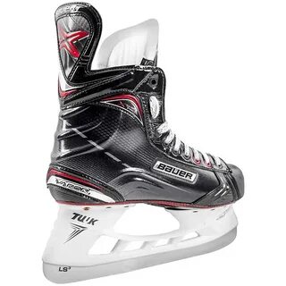 Bauer sr