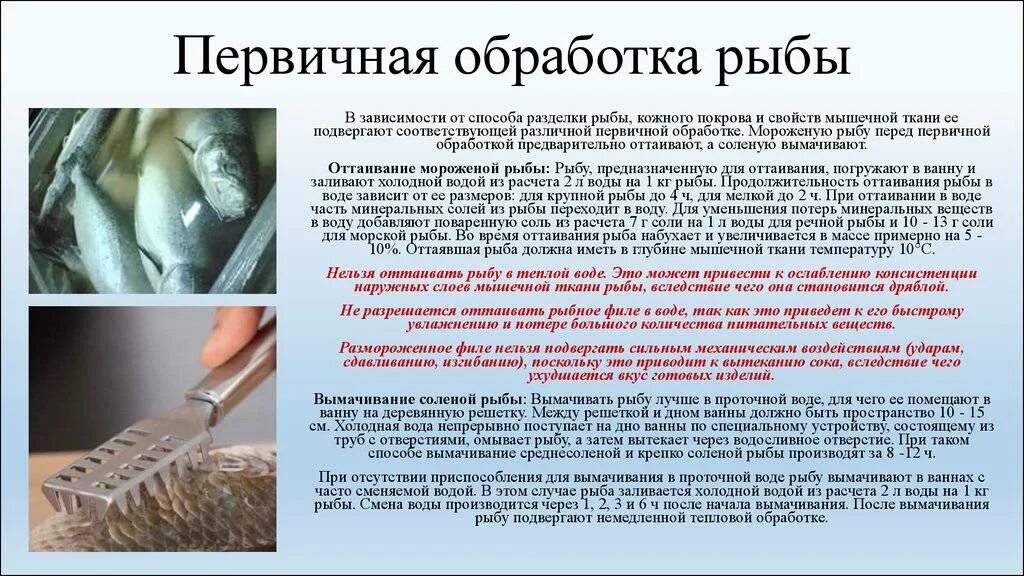 Инструкция по обработке рыбы. Санитарные требования по обработке рыбы. первичная обработка рыбы. технология первичной обработки рыбы. обработка рыбы кратко.