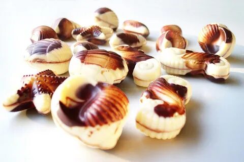 Шоколад ракушки