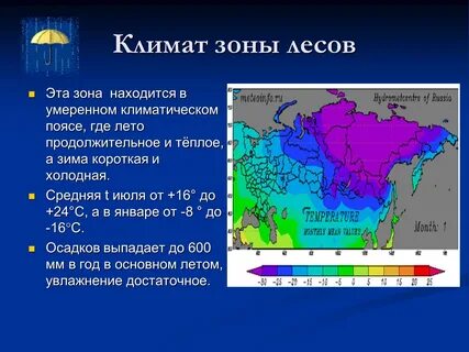Климат зоны лесов 4 класс окружающий мир