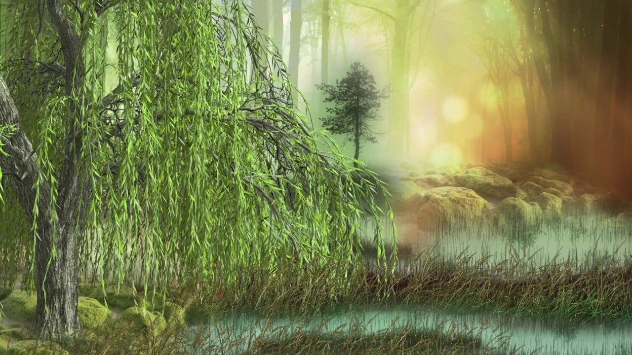 футаж болото. футаж болото. футаж болото. сказочное болото. болото из мультика.