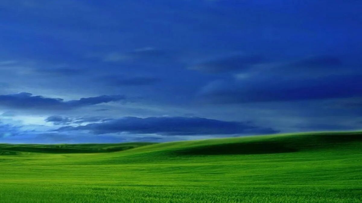 Поле небо. В поле. Природа поле. Природа небо. Поле небо.