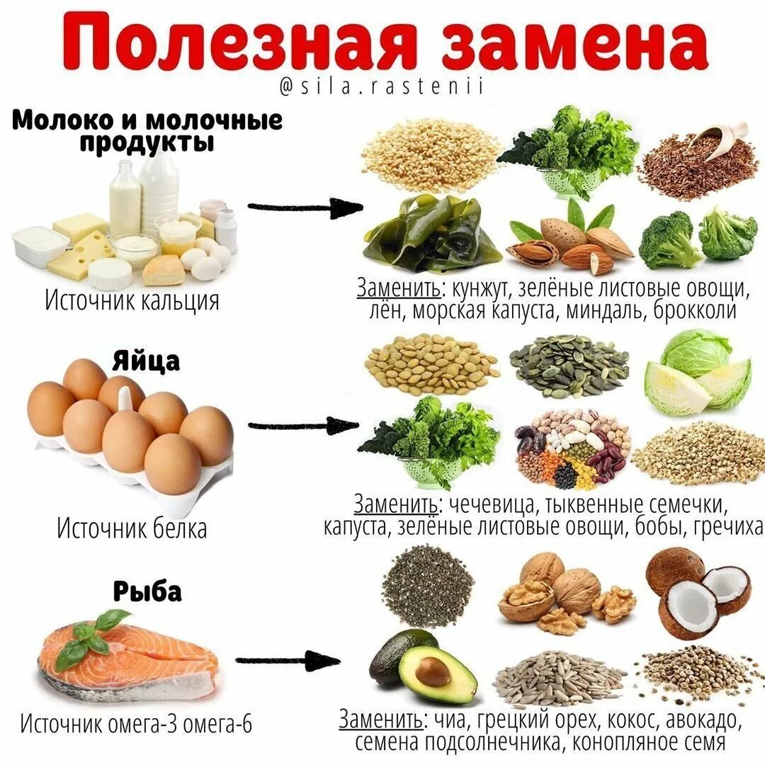 Овощи содержащие белки. Продукты. Заменяем вредные продукты на полезные. Полезные продукты питания. Полезная замена продуктов.