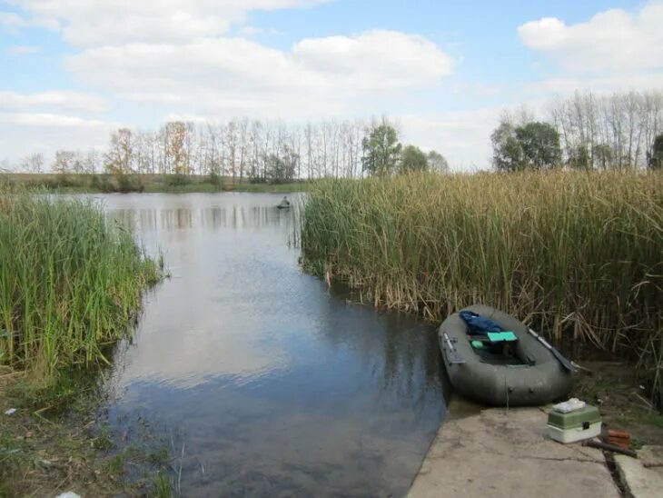 Рыболовство в мордовии. Шапкинский пруд мордовия. Рыбаки мордовии. Платный пруд судосево. Платная рыбалка саранск.