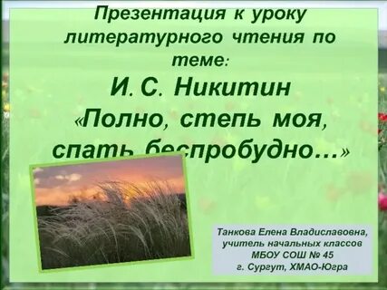 Рифмы в стихотворении полно степь моя спать