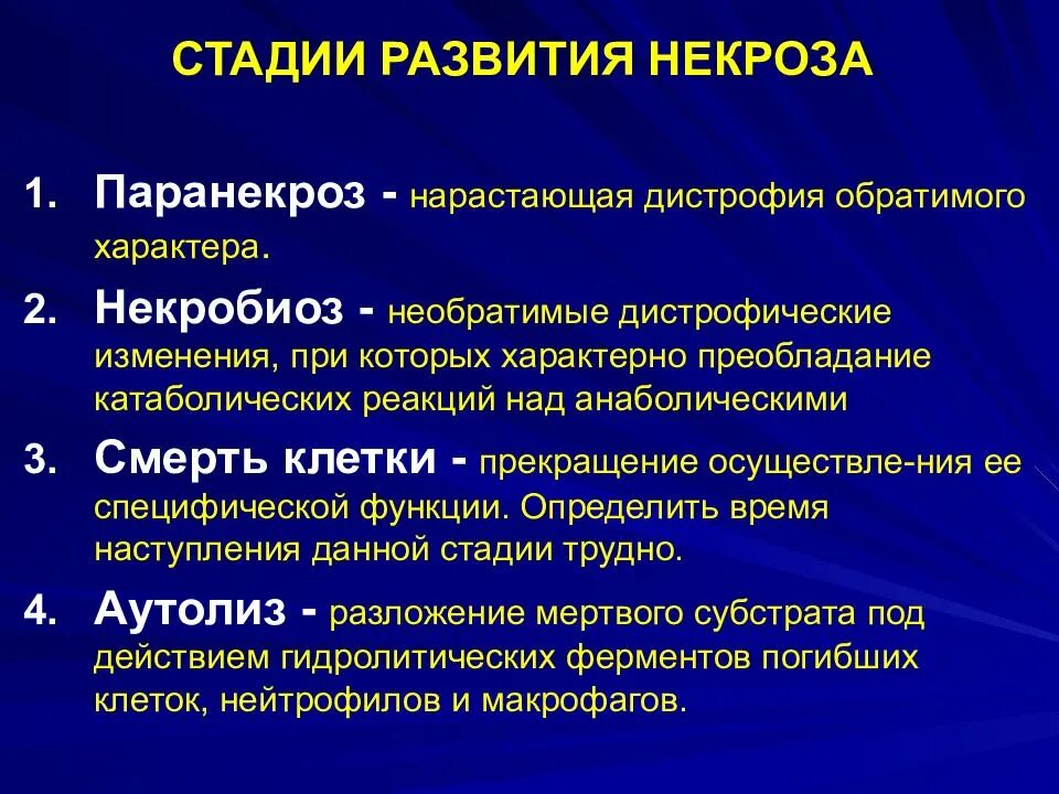 Дистрофия механизмы развития. Механизм развития некроза патанатомия. стадии развития некроза. фазы некроза.