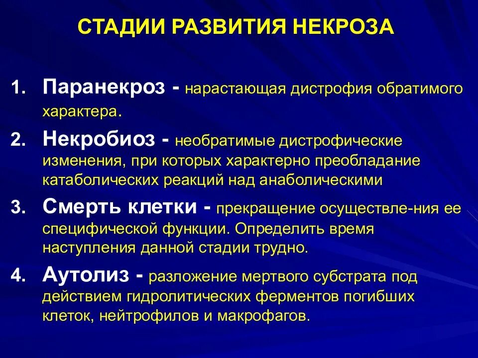 Паранекроз некробиоз некроз аутолиз. Механизм развития некроза патанатомия. Стадии развития некроза. Стадии некротического процесса. Необратимые изменения клетки