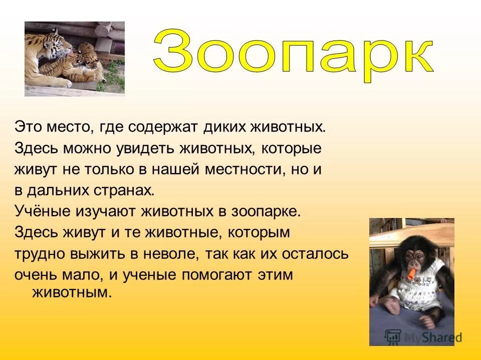 Где содержат животных. Где содержат животных. Где содержат животных. Где содержат животных. Зоопарк ульяновск.