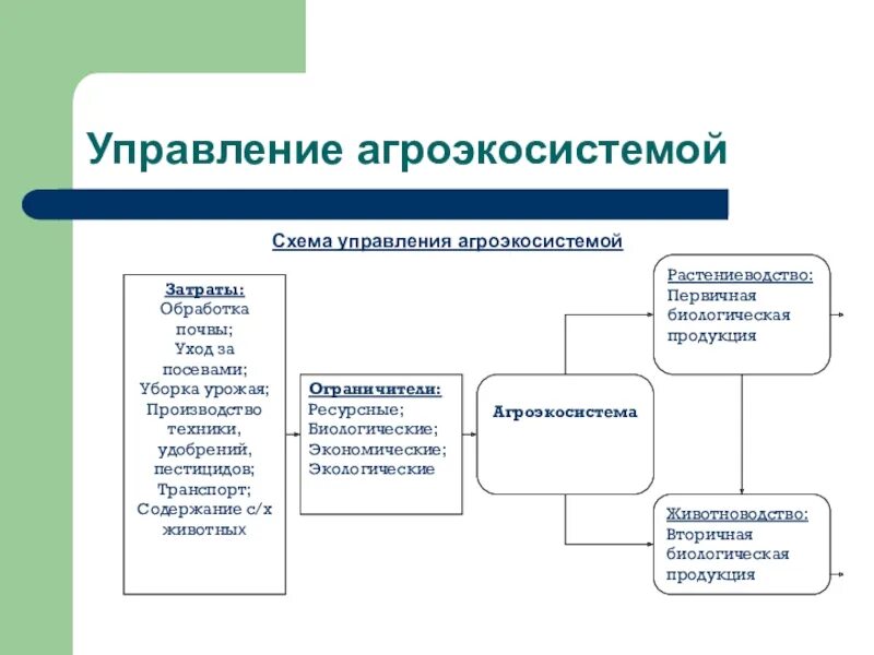 Экосистемная организация природы компоненты экосистем 9 класс. Схема функционирования агроэкосистем. Структура агроэкосистемы. Составление схемы агроэкосистемы. Схема функционирования агроэкосистемы.