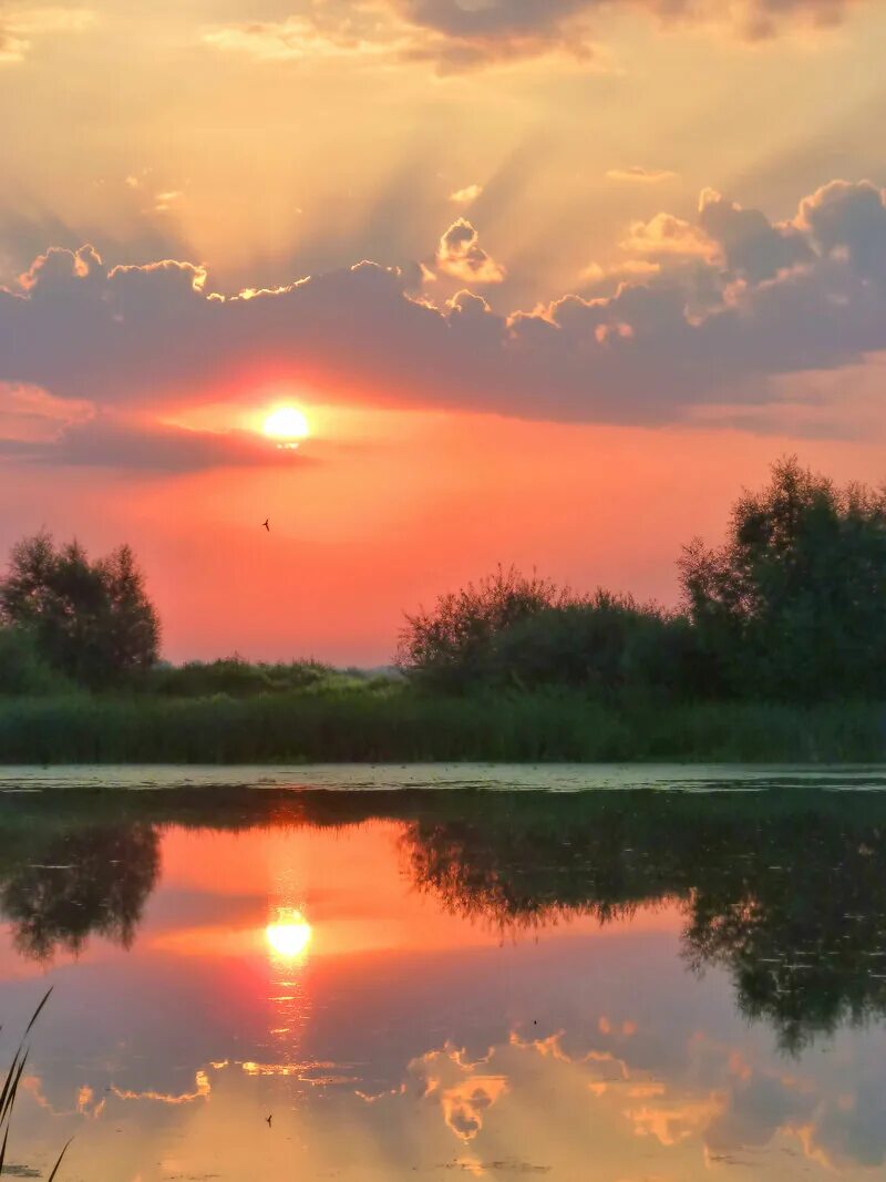 Вода едва блестела в реке. Заря Зорька Зоренька. Закат над озером. Летний рассвет. Утренний рассвет.