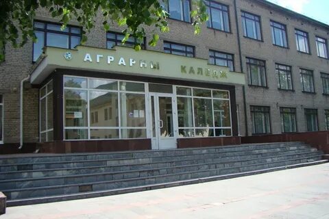 Новогрудок колледж
