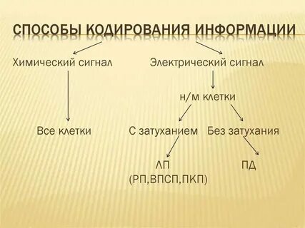 Что относится к методам слова