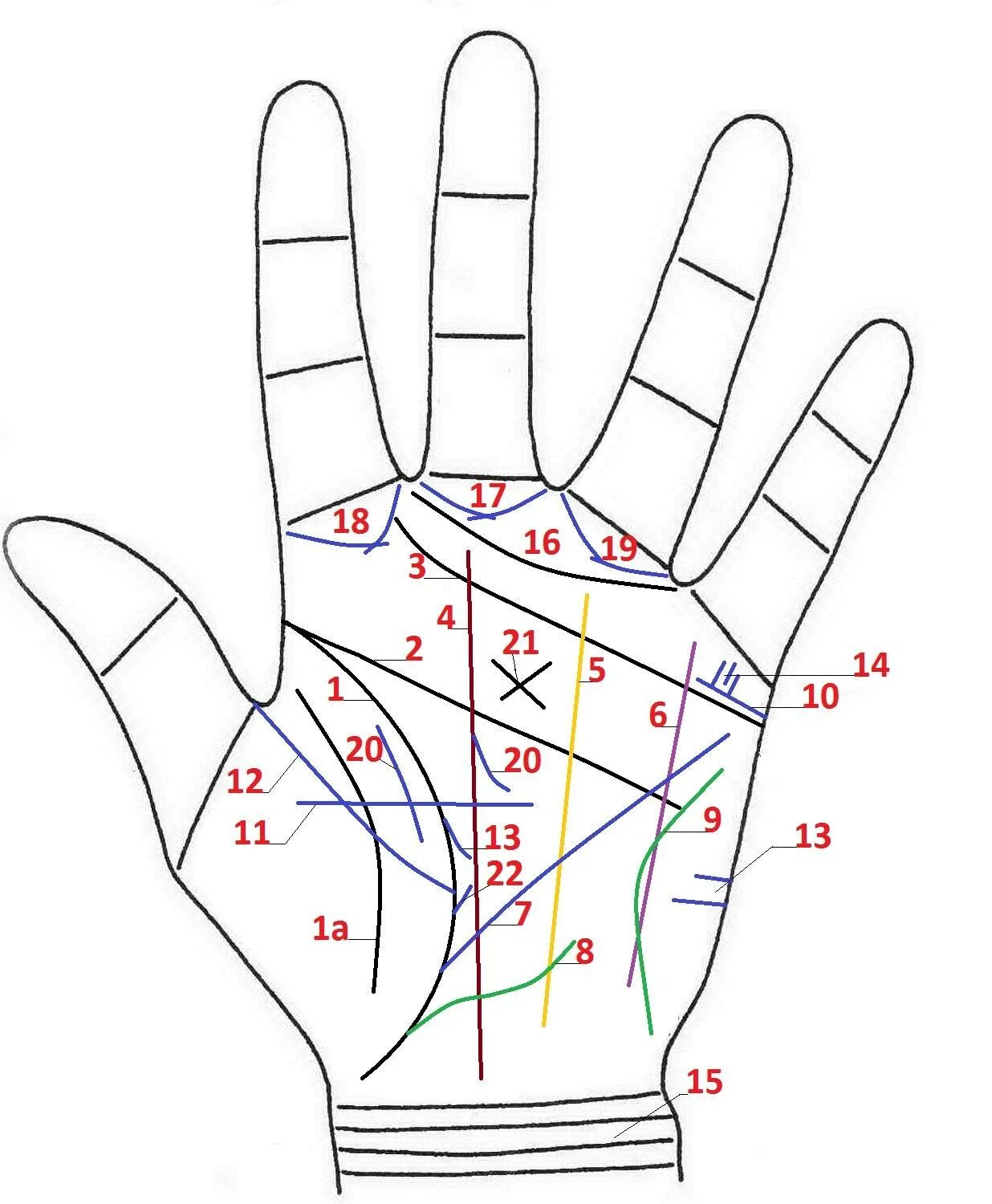 Прямая линия на руке. Хиромантия хирология хирософия. Хиромантия линии на руке. Хиромантия линия судьбы. Хиромантия атлас Финогеева.