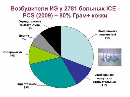 5 возбудителей