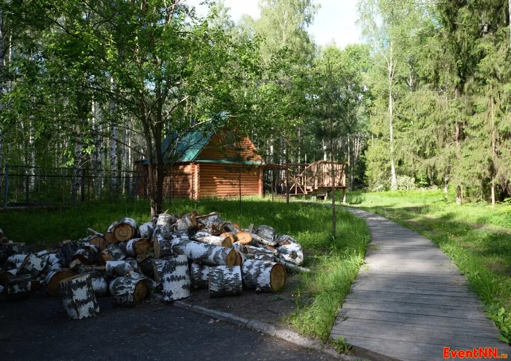 Загородный отель серебро Нижегородская. Пансионат серебро Нижегородская область. Турбаза серебро Ильиногорск. Турбаза серебро Нижегородская. Серебро загородный