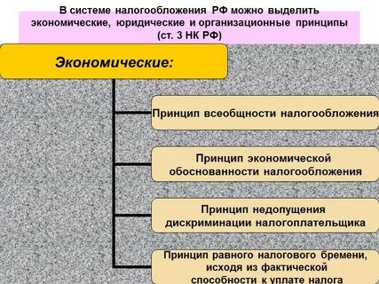 Экономические правовые принципы