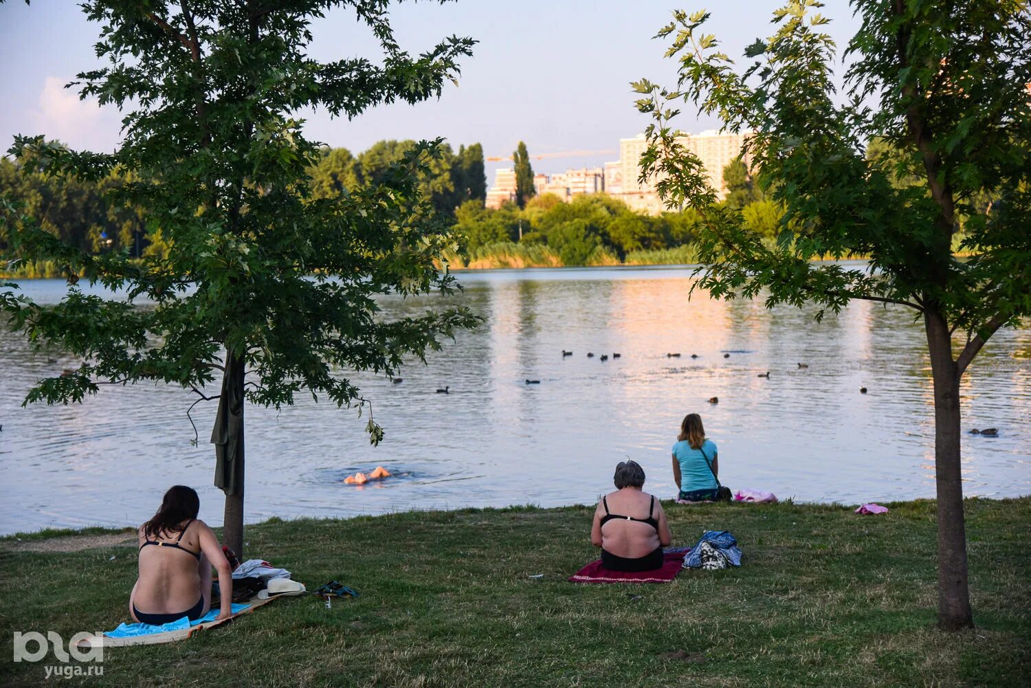 Курганинск краснодарский край пляж набережная. Пляжи на реке кубань. Затон реки кубань. Пляжи на реке кубань. Пляж старая кубань краснодар.