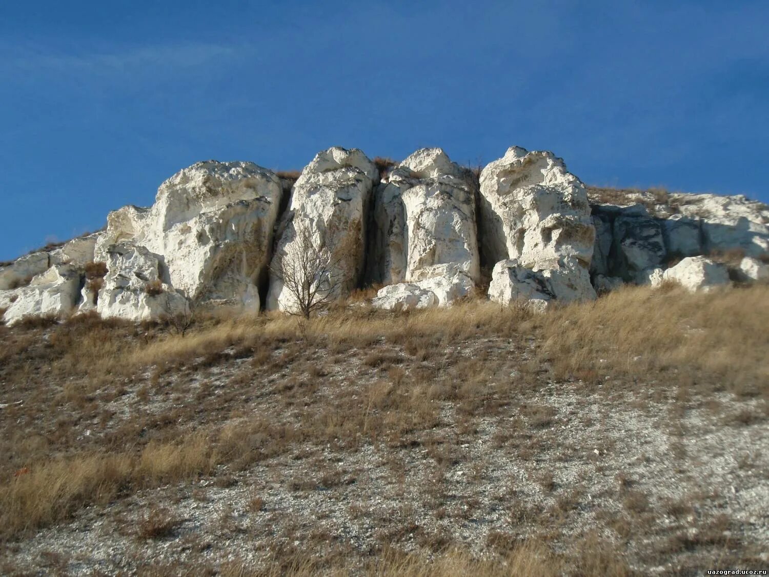 Рельеф бараньих лбов. Скалы бараньи лбы Луганская область. Заповедник бараньи лбы Луганск. Бараньи лбы ЛНР.