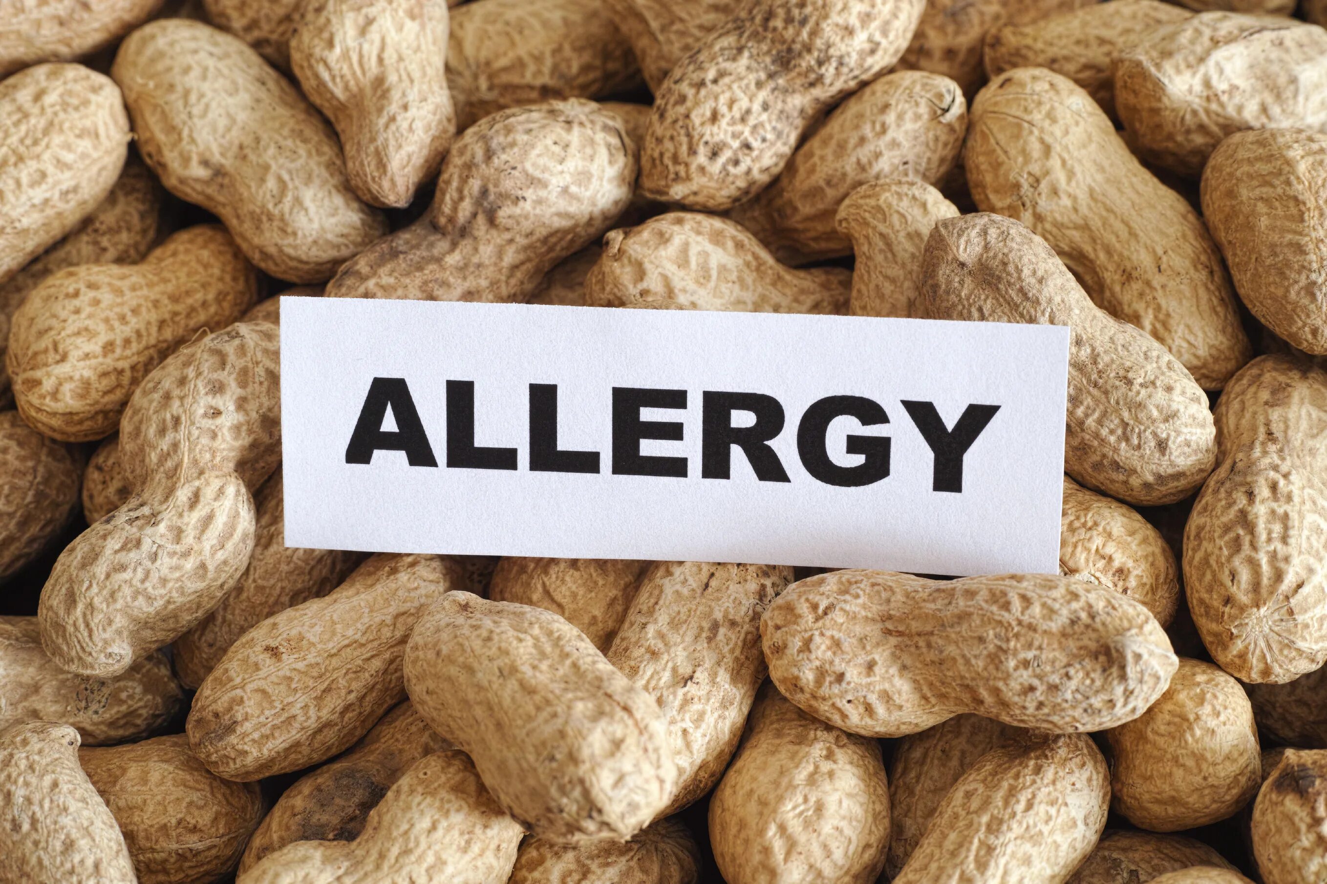Арахис. Пищевая аллергия на арахис. Арахис пищевая