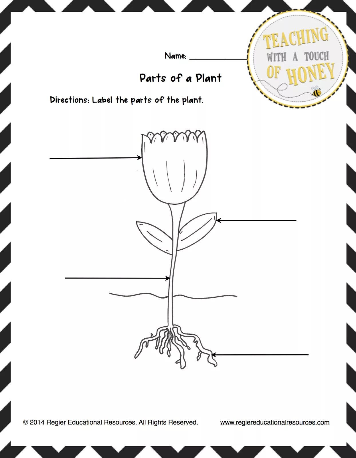 Parts of the Plant Worksheets. Растения Worksheets for Kids. Parts of Plants Worksheets for Kids. Сад Worksheets for Kids. Worksheet teachers