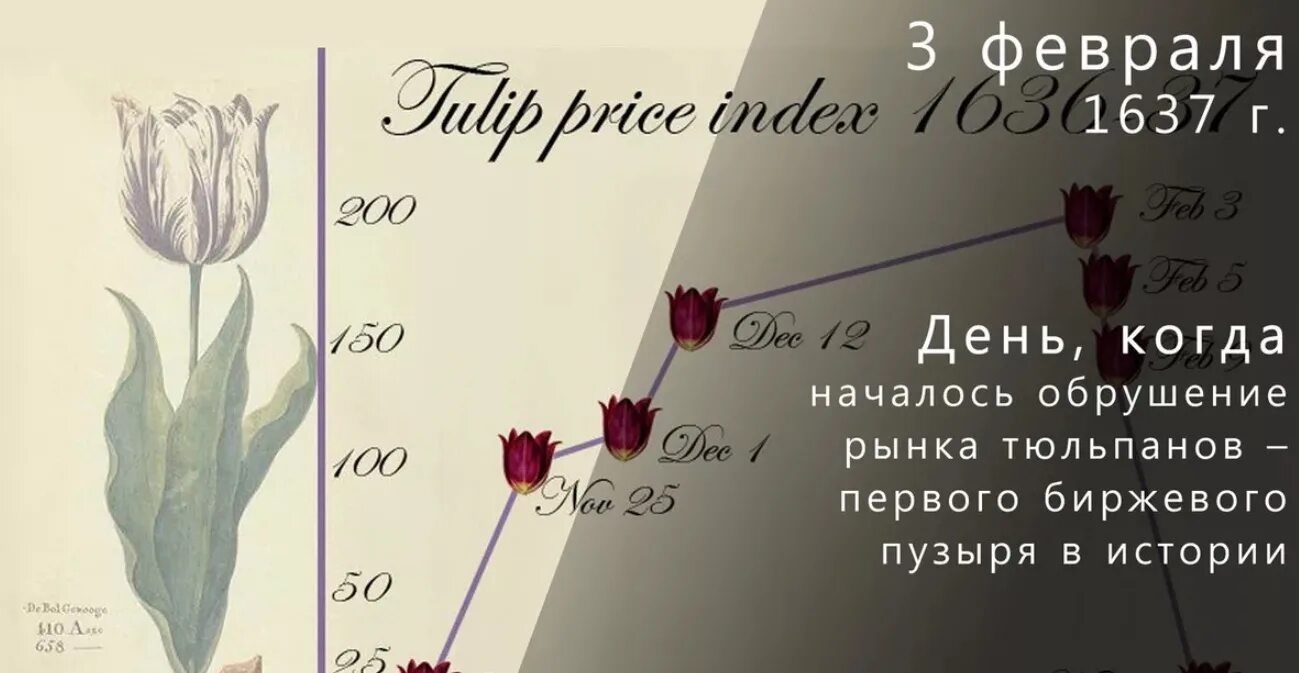 Тюльпаномания в Голландии в 17 веке график. Тюльпаномания Голландии 17 век. Тюльпаномания в Голландии график. Тюльпаномания в Голландии в 17 веке. Сколько стоит 1 тюльпан в среднем