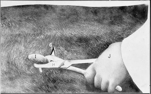 Animal castration, a book for the use of students and practitioners; 240 pa...