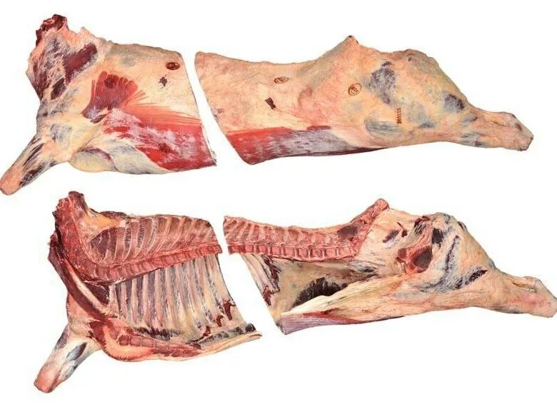 Передок говядины. Мясо говядины в четвертинах. Передняя четвертина говядины. Передок говядины. Баранина курдючная туша.