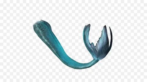 Blue tail