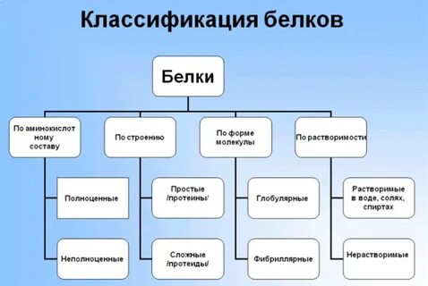 Простые белки группы