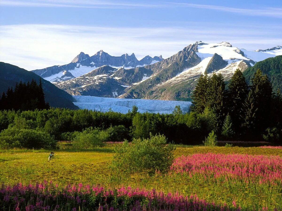 Национальный парк Денали Аляска. Аляска (штат США) горы. Аляска штат Северная Америка. Горы Врангеля Аляска.