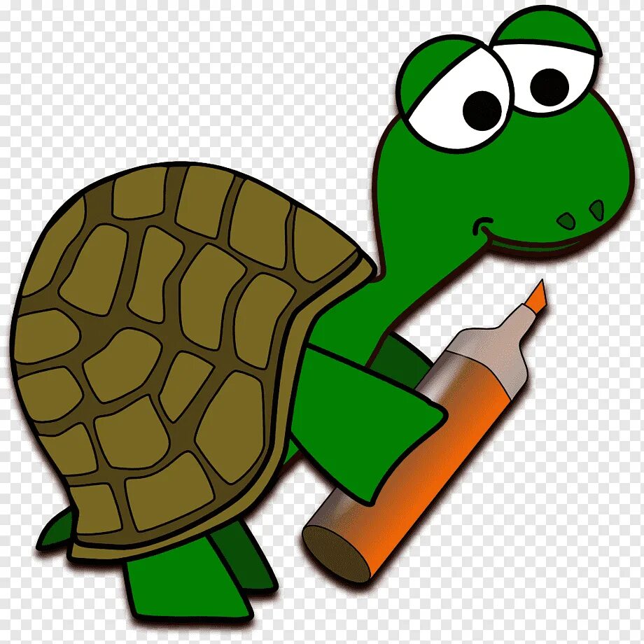 Turtle app