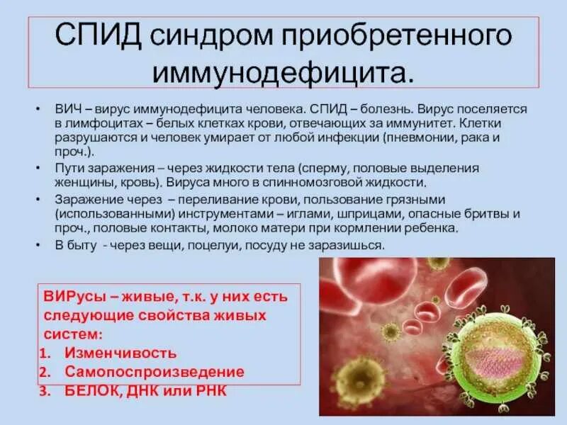 Вирусы инфекции. Синдром приобретённого иммунного дефицита. Вирус иммунодефицита (ВИЧ).